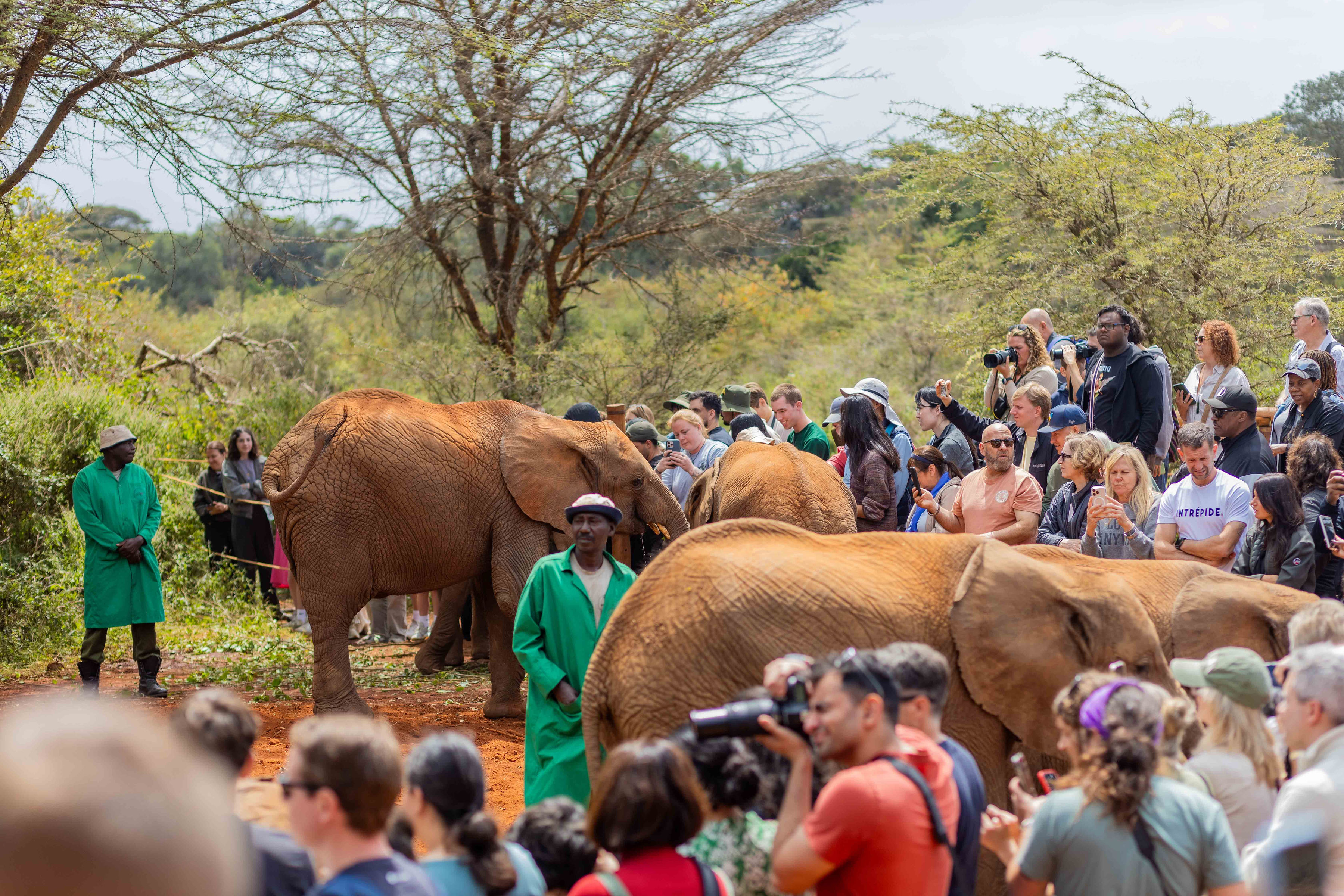 kenya-budget-safari-packages-2026-2027