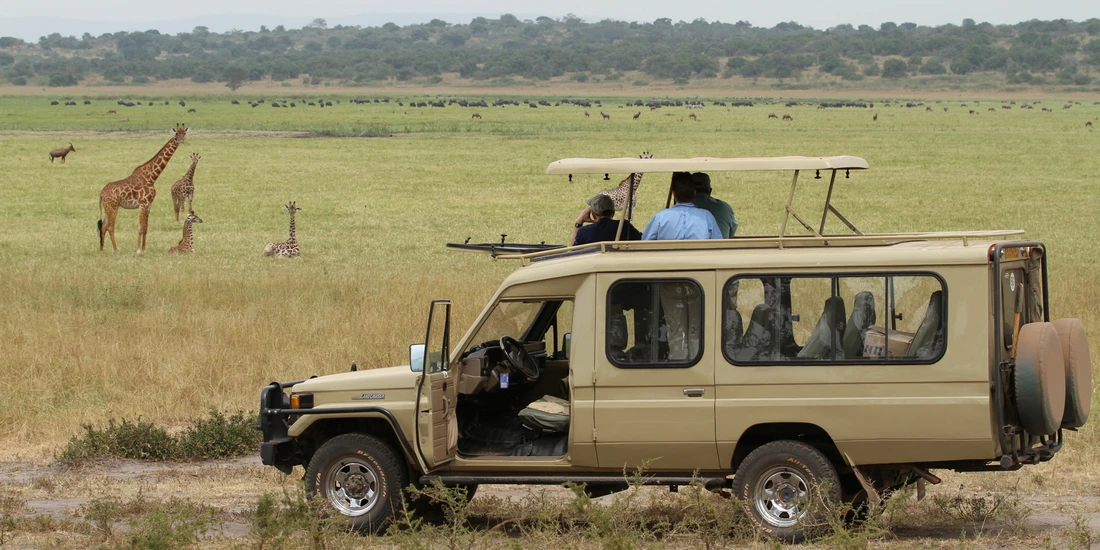3 Days Private Budget Serengeti Safari from Mwanza, Tanzania