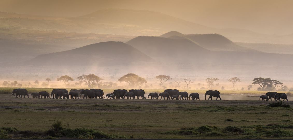 Amboseli-national-park-safari