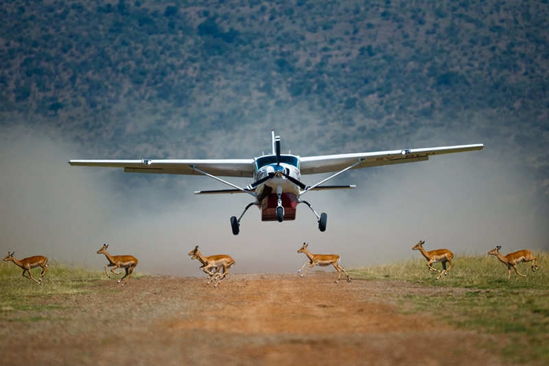 safari-en-avion-vers-amboseli-safari-panoramique-vers-le-masai-mara