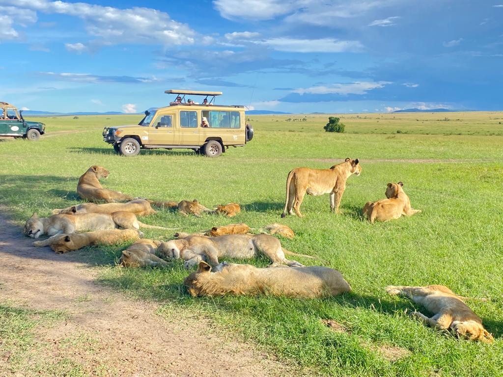 Group joining safari vehicle in Maasai Mara from Nairobi